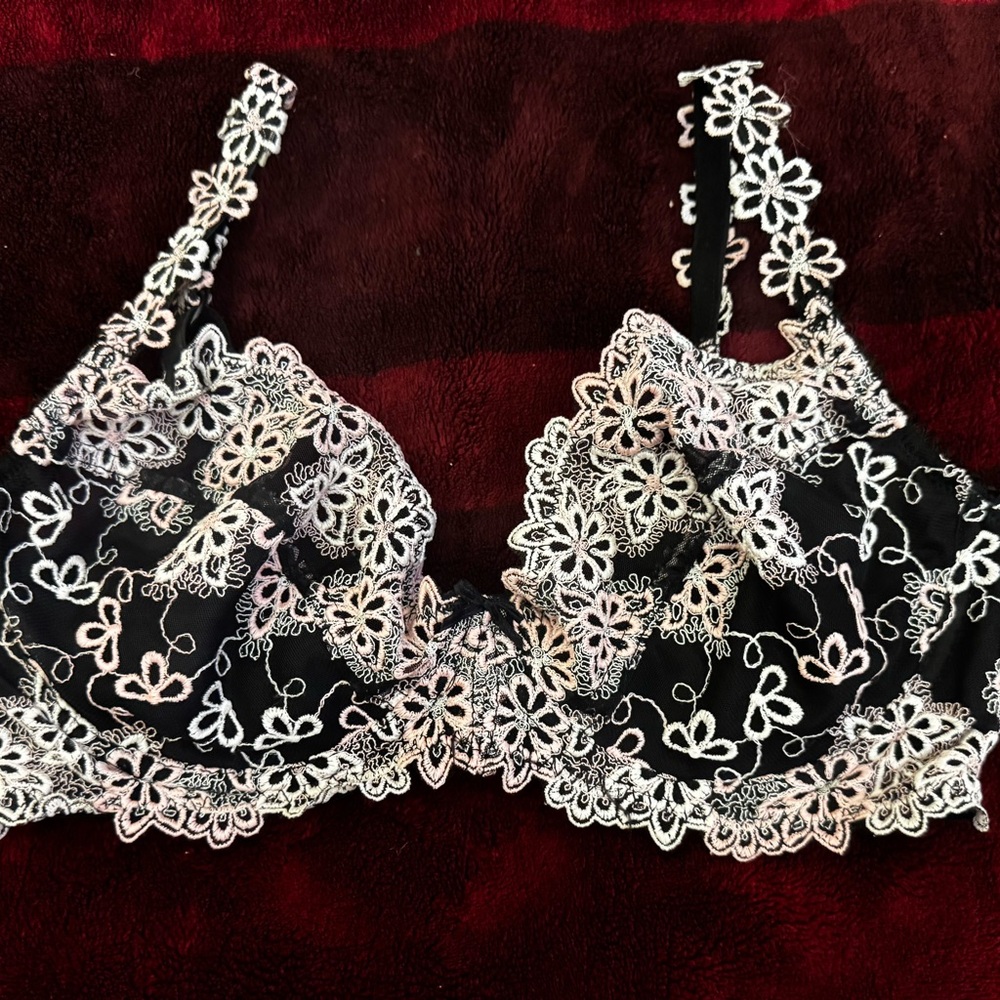 La vie en rose Lace Brand new embroided Bra